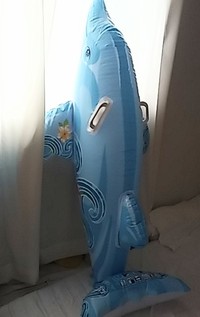  ニューカラーのイルカさん 2021/05/05 16:48:47