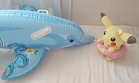  イルカとの出会い♡ 2021/05/17 08:53:01