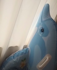  ちょっとした遊び心のイルカくん 2021/06/07 13:03:18