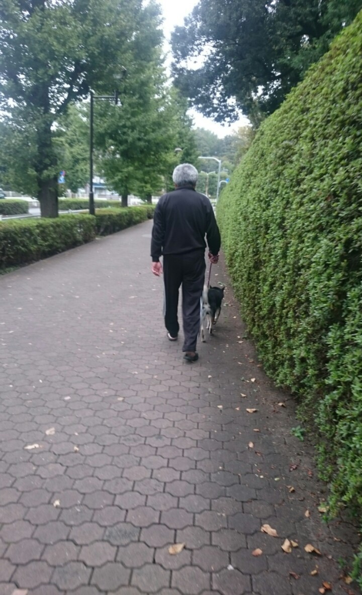 久々の犬の散歩
